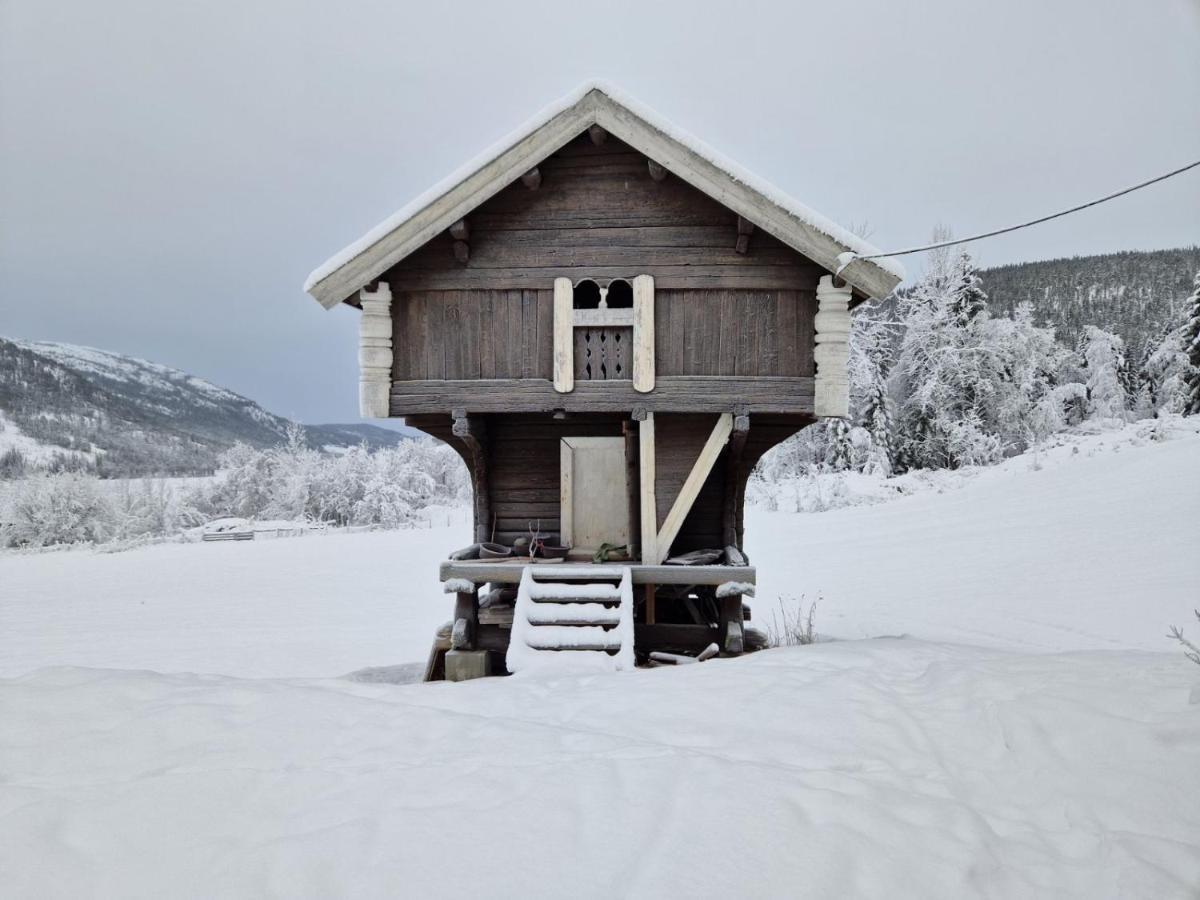 Tuddal - Lynnidalen Apartment エクステリア 写真